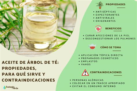 Ilustración de diferentes ingredientes naturales (aceite de árbol de té, té verde, agua de rosas) que se pueden añadir al agua de arroz.
