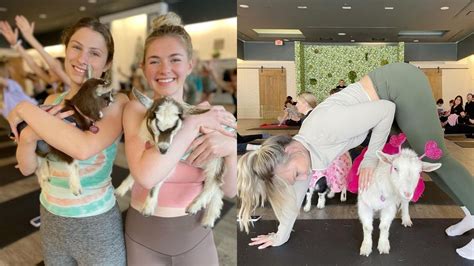 Foto de cabras bebés interactuando con personas durante una clase de yoga en Wildflower Farm Orlando