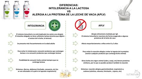 Infografía comparativa entre APLV e intolerancia a la lactosa.