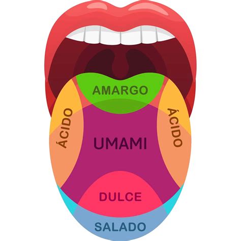 Esquema comparativo de los perfiles de sabor: desde la intensidad especiada del vermut rojo hasta la delicadeza floral del blanco y la sequedad del extra-dry.