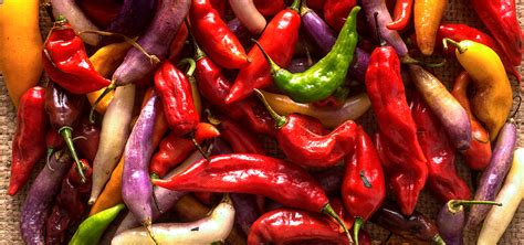 Tabla comparativa de variedades de ajíes peruanos incluyendo el nivel de picante y sus usos principales en cocina