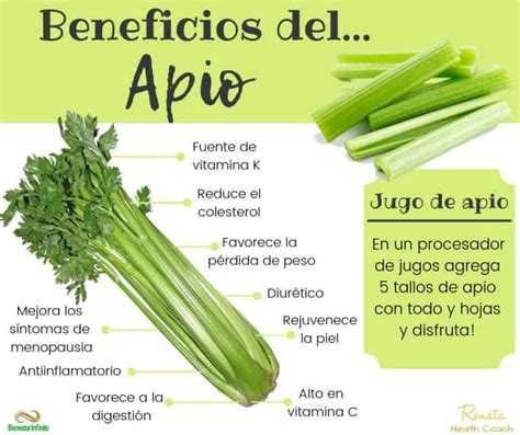 Infografía que resume los beneficios del apio: salud de la piel, digestión, sistema cardiovascular y aporte de nutrientes.