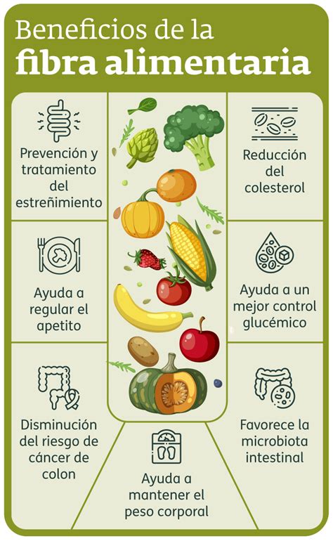 Infografía sobre alimentos ricos en fibra insoluble y su rol en la salud intestinal