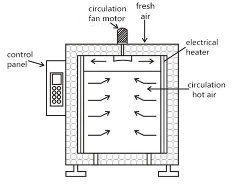 Esquema de un horno combinado mostrando la circulación de aire caliente y la inyección de vapor