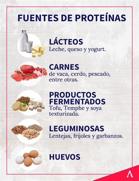 infografía comparativa de fuentes de proteína: carne, huevos, lácteos, legumbres, proteína de suero