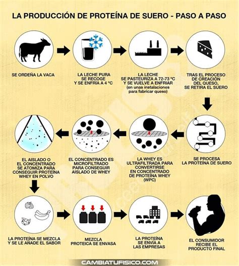 esquema del proceso de extracción de proteína de suero de la leche