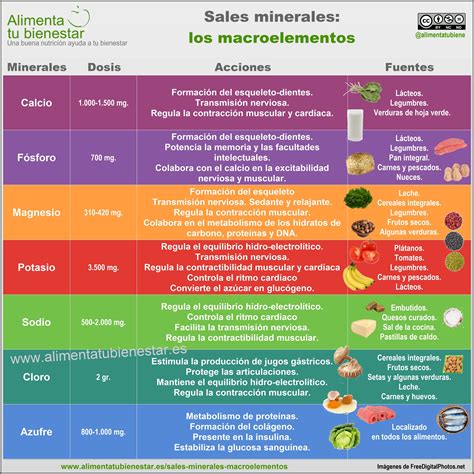Tabla comparativa de los requerimientos de calcio y fuentes alimentarias para niños de 1 a 3 años.