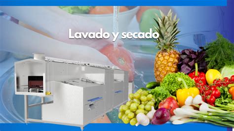 Infografía detallando el proceso de lavado y secado de moras y frambuesas