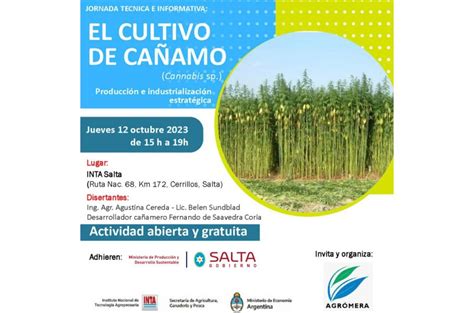 Infografía comparativa de las ventajas del cultivo de cáñamo frente a otros cultivos para la producción de fibra