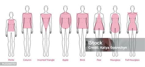 Ilustración de diferentes tipos de siluetas femeninas: pera, manzana, triángulo, rectángulo, rombo, reloj de arena.