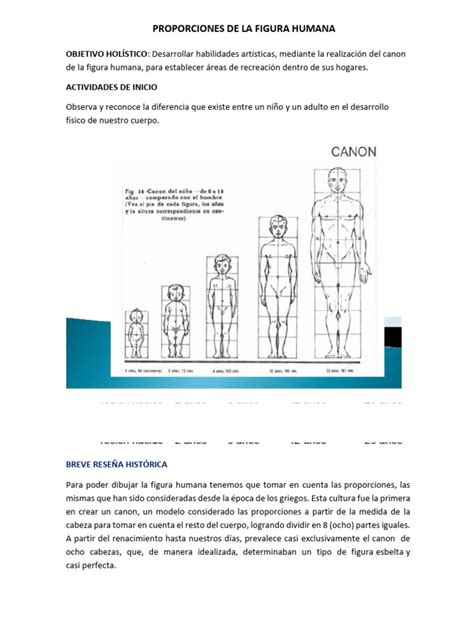 Diagrama corporal que muestra las proporciones de la figura de manzana: hombros y caderas de anchura similar, cintura poco definida.
