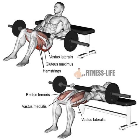 Diagrama o ilustración mostrando la correcta ejecución del Hip Thrust.