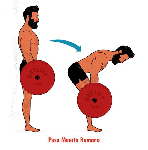Ilustración detallada de la postura y movimiento del Peso Muerto Rumano.