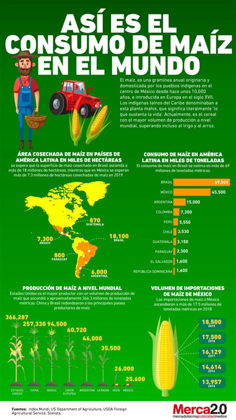 infografía sobre la distribución global del cultivo de maíz