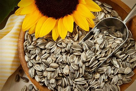 Imagen de semillas de girasol y la flor de girasol