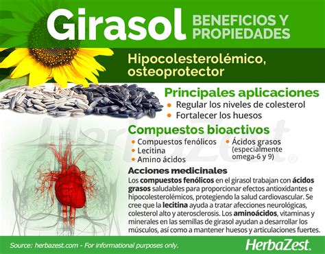 Infografía: Diferentes usos culinarios de las semillas de girasol