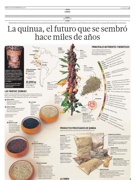 Infografía comparativa de los nutrientes de la quinua frente a otros cereales.