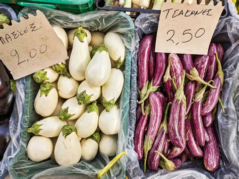 Campo de berenjenas o berenjenas frescas en el mercado