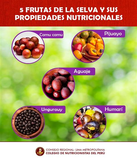 Ilustración de diferentes frutas y sus perfiles de sabor para cervecería artesanal