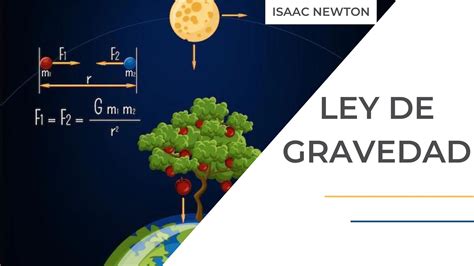 Esquema técnico sobre la relación entre la gravedad específica de la papa y la absorción de aceite durante la fritura.