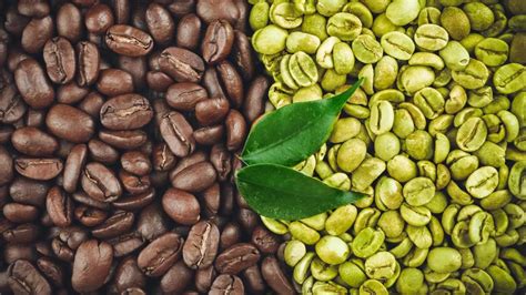 Grano de café verde y grano de café tostado, diferenciando su color y textura.