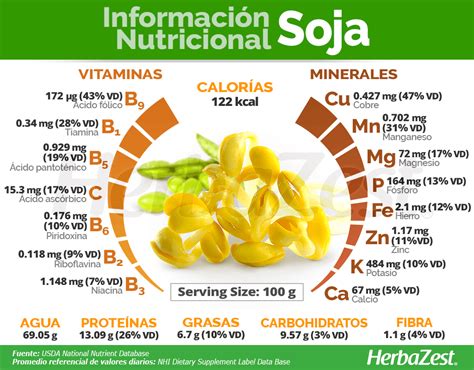 Infografía nutricional de la soja: contenido de proteínas, grasas y aminoácidos esenciales