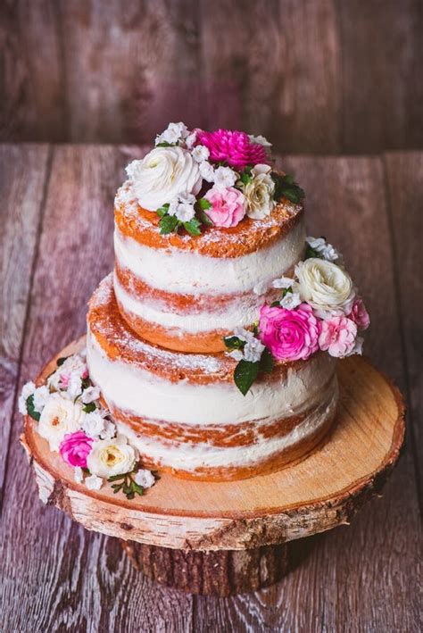 Esquema de torta desnuda y semi-desnuda