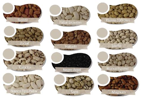 Variedad de porotos secos y cocidos en cuencos