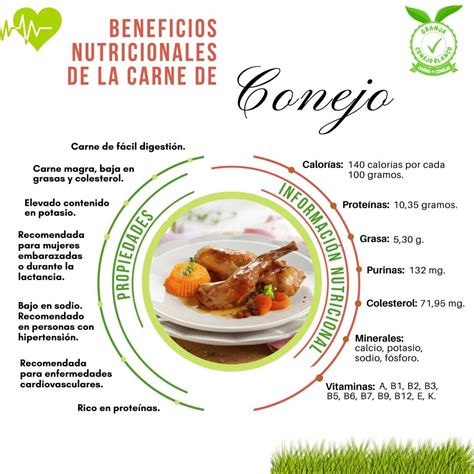 Infografía de los beneficios nutricionales de la carne de conejo