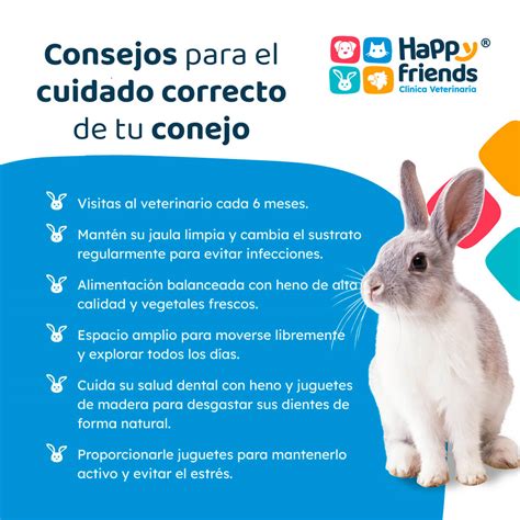 Ilustración de un conejo sano y un conejo afectado por enfermedades comunes