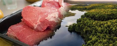 Comparativa de impacto ambiental de la producción de carne de conejo frente a otras carnes