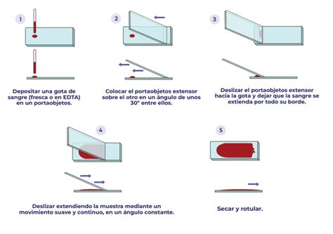 Infografía detallando la forma correcta de disolver un sobre de medicamento en líquido.