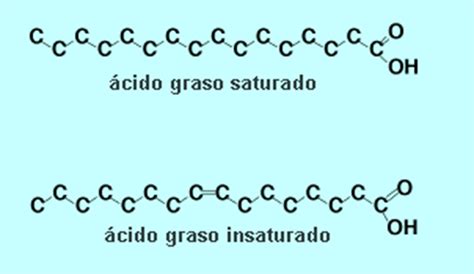 Tabla comparativa de la composición química: Ácidos grasos saturados vs insaturados en la mantequilla