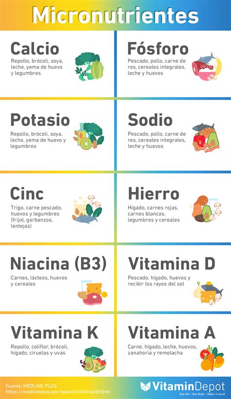 Tabla nutricional resumida para alimentos de perro, enfocada en los macro y micronutrientes principales