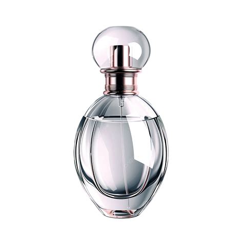 Fotografía de estilo de vida: frasco de perfume sobre fondo de naturaleza polinesia