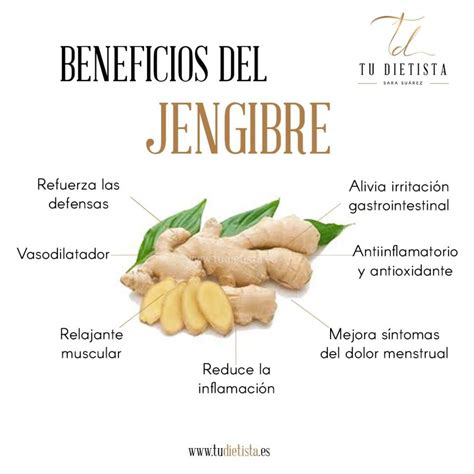 Infografía sobre los beneficios del jengibre