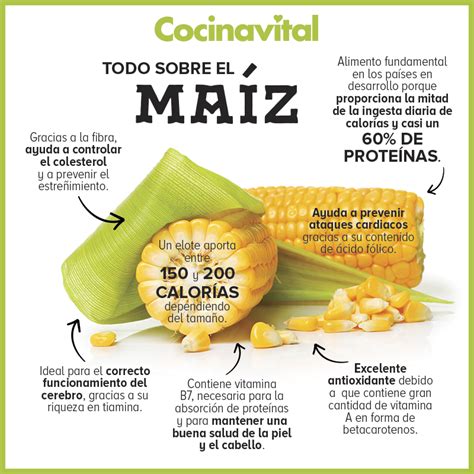 Infografía comparativa: beneficios nutricionales del grano entero de maíz para el control glucémico.