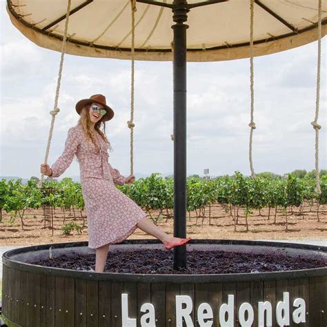 Viñedos en las colinas de San Colombano durante la temporada de vendimia.