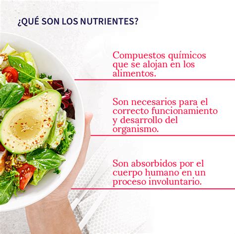 infografía que compara los nutrientes de un tomate fresco frente a una salsa industrial con aditivos