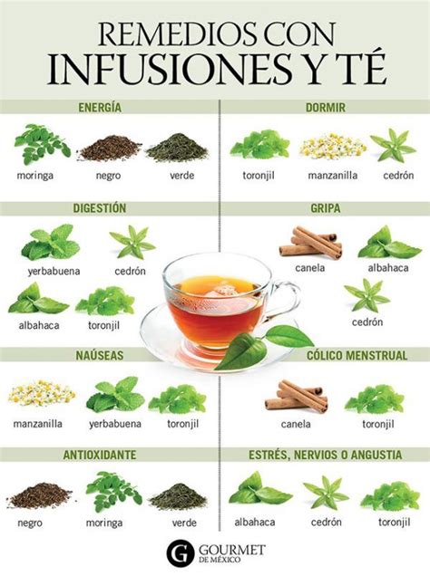 Infografía sobre los ingredientes clave y beneficios de los tés medicinales para la gripe