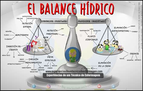 Esquema del balance hídrico y el proceso de evapotranspiración en árboles frutales