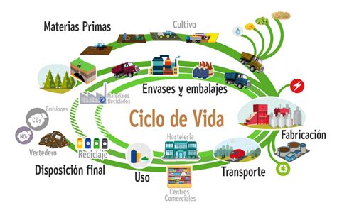 Infografía: Ciclo de vida de una empanada desde la producción hasta el consumidor final