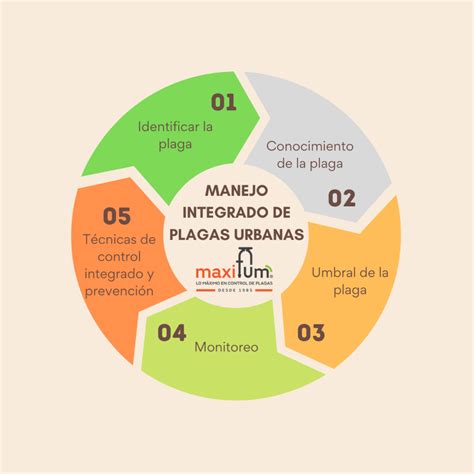 Esquema de un sistema de manejo integrado de plagas en el cultivo de arroz.