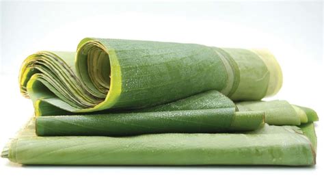 hojas de plátano preparadas para envolver tamales