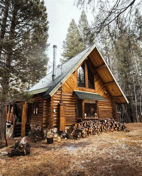 Foto de una cabaña rústica de madera en medio del bosque de la Isla Navarino
