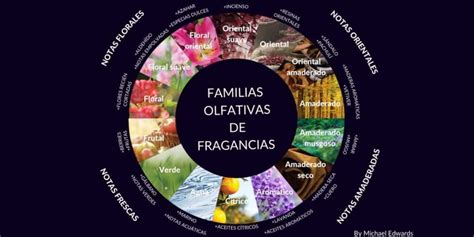 Visualización de diferentes notas olfativas y sus asociaciones emocionales