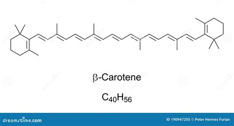 Esquema molecular del betacaroteno mostrando sus anillos beta en los extremos