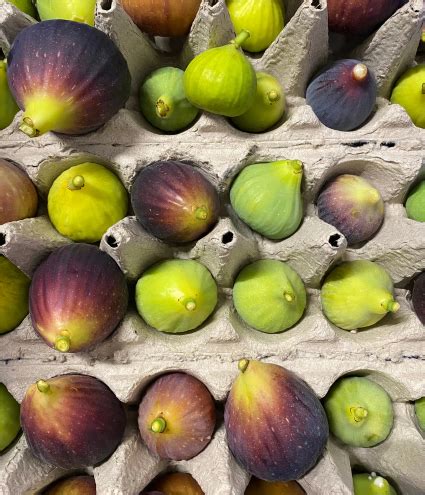 Fotografía de brevas frescas en una cesta