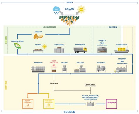 Esquema del proceso de elaboración de helado de chocolate con cacao en polvo y cobertura