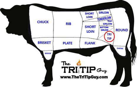 Esquema anatómico mostrando la ubicación del corte Tri-Tip en la res